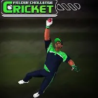 Cricket Fielder Challenge Game - Only Games
